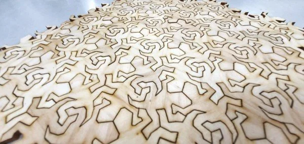 _escher-lizard